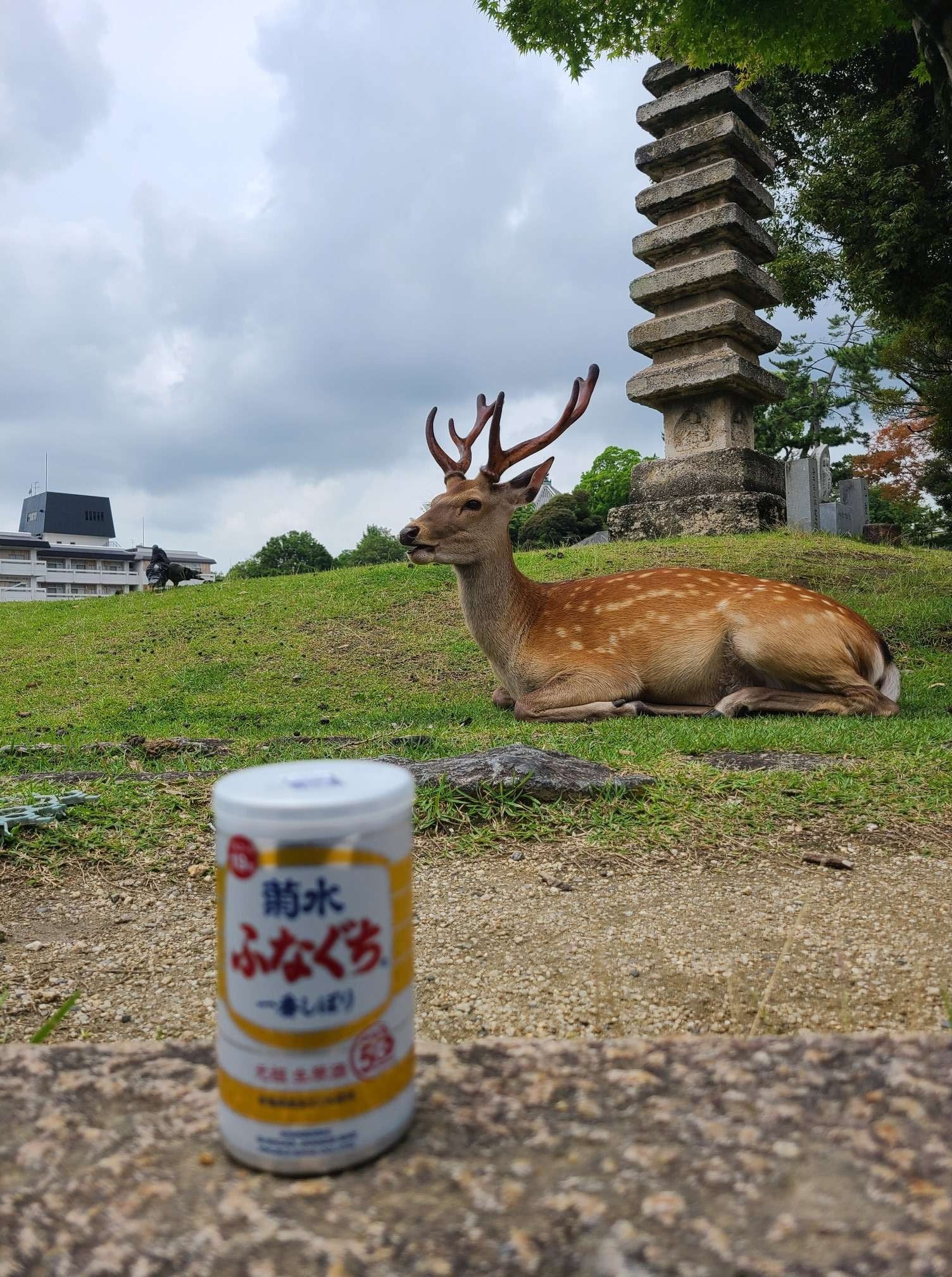 奈良へ全国行脚