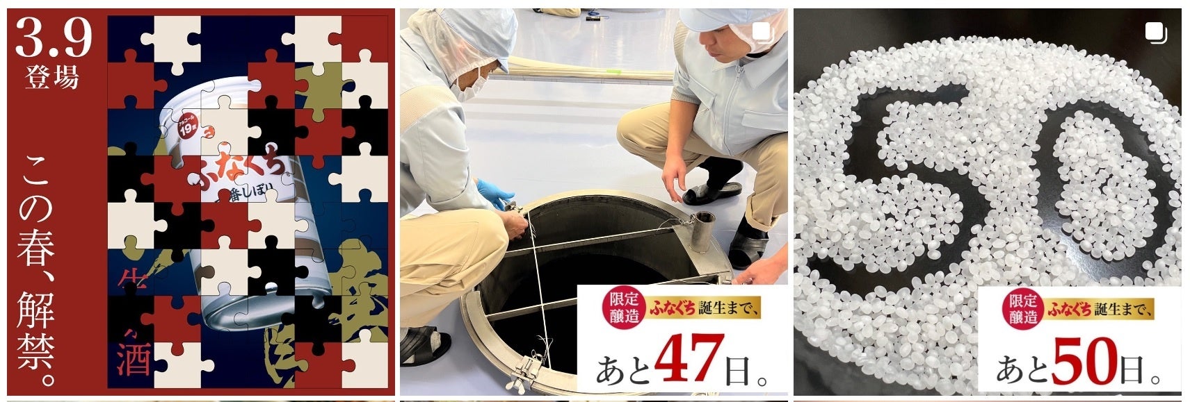 Instagram　@kikusui_pr