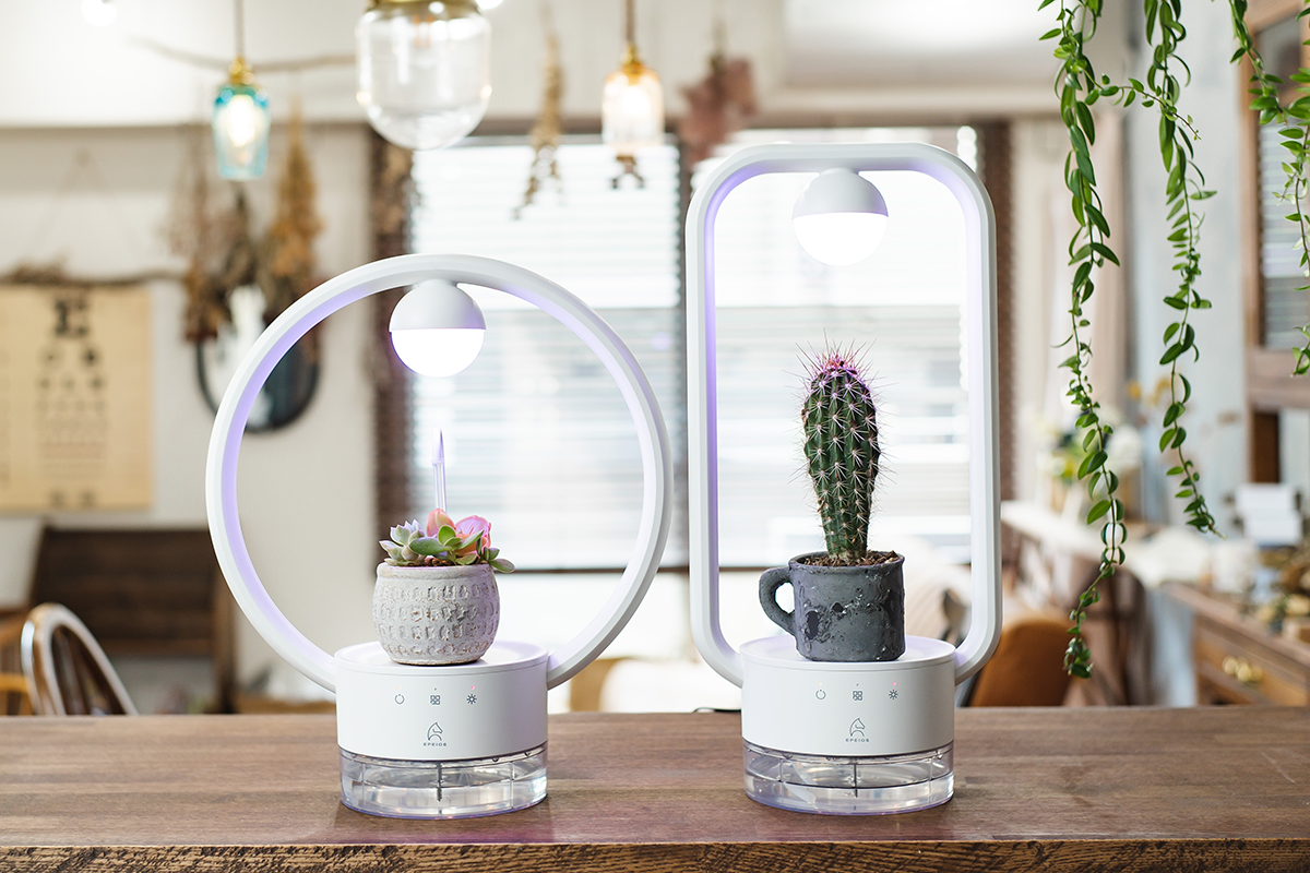 自己主張する植物 Amazon.co.jp: 主張する植物 : 塚本 正司: Japanese Books