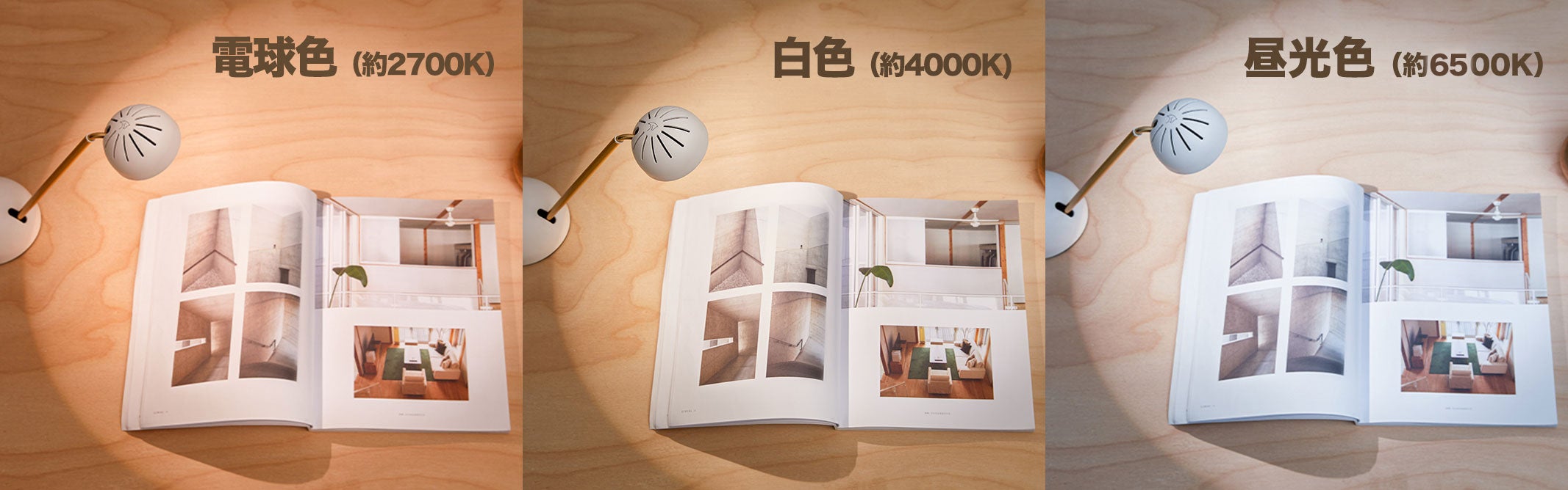 色温度（ライト色）イメージ画像