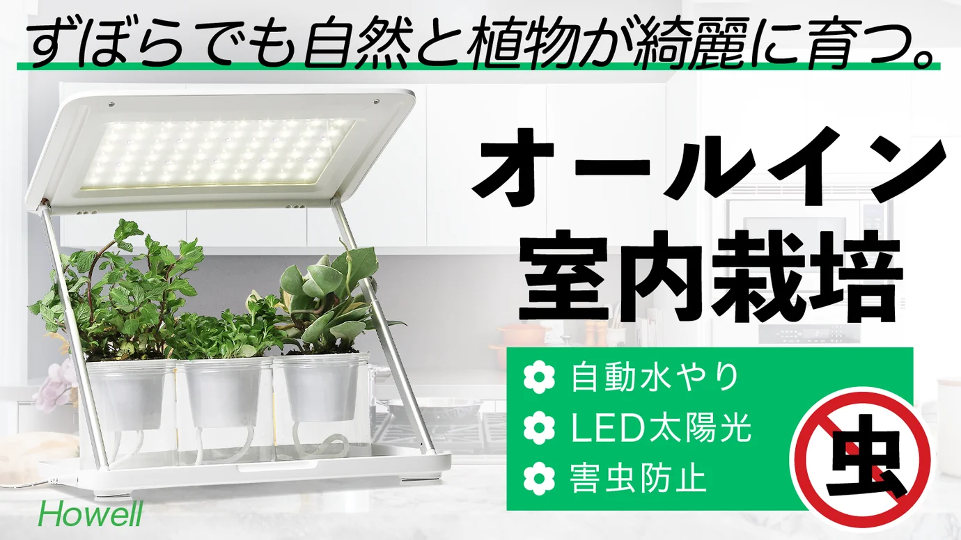 【ズボラでも簡単！LED太陽光「栽培キット」で植物育成】『Howell』がクラウドファンディングで販売開始