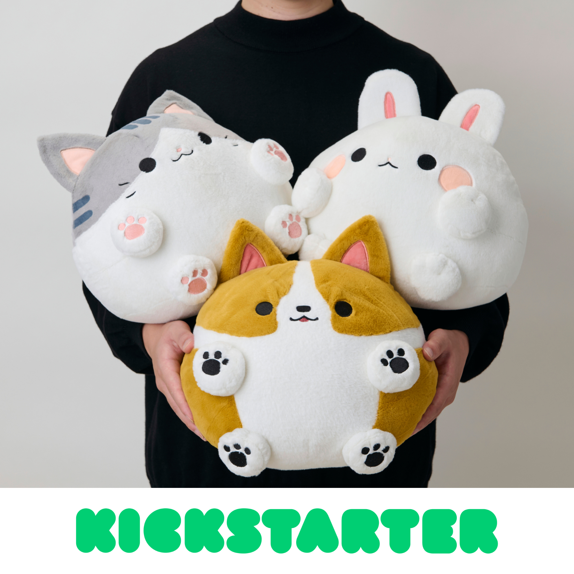 目標863%達成！世界最大クラウドファンディングサイト「KICKSTARTER