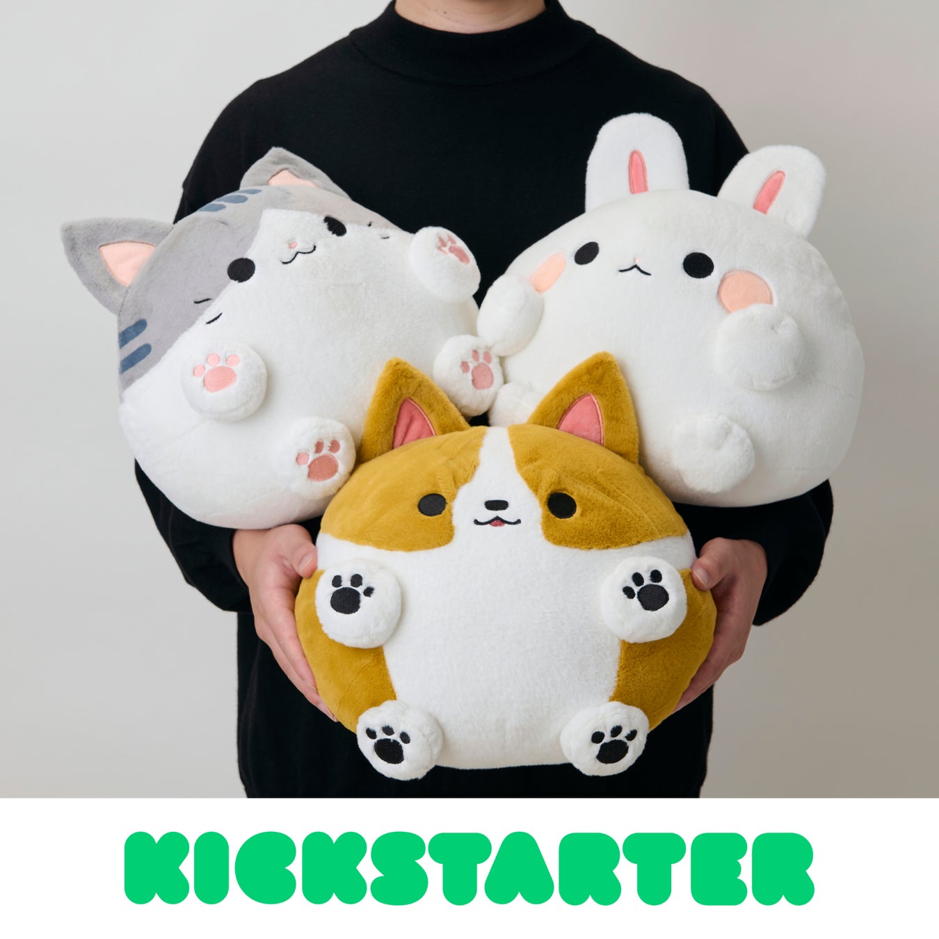 目標863%達成!世界最大クラウドファンディングサイト 目標863%達成!世界最大クラウドファンディングサイト