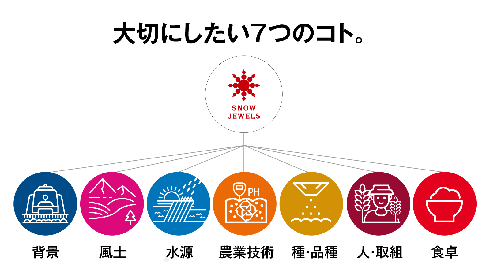 〜7つの基準を満たし、私達の哲学を食べる人にお伝えします。〜