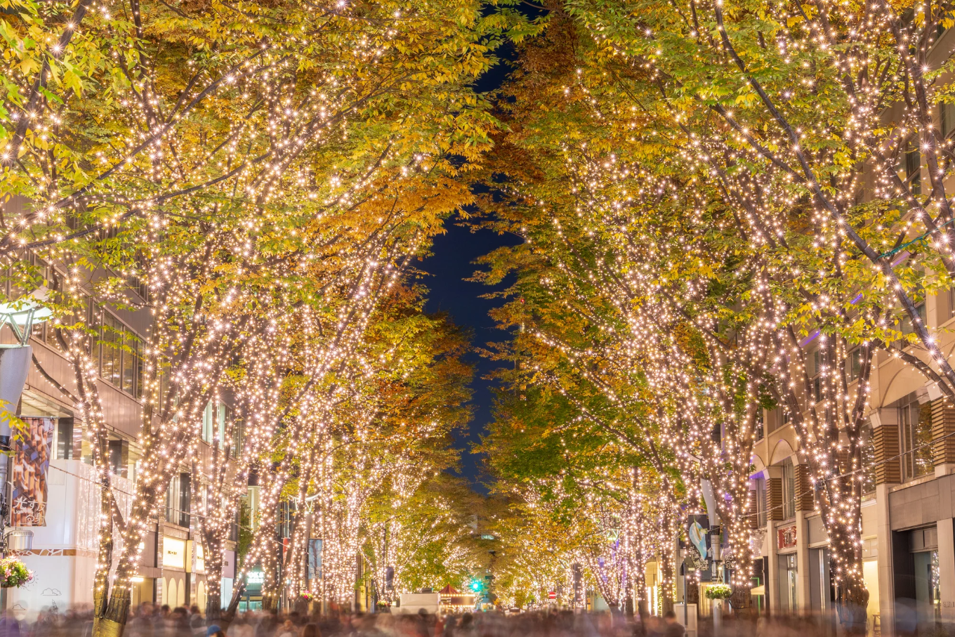 【JAPAN 47 GO厳選】紅葉にイルミネーション♪「JAPAN 47 GO」から、１２月のイベント情報をお送りします！