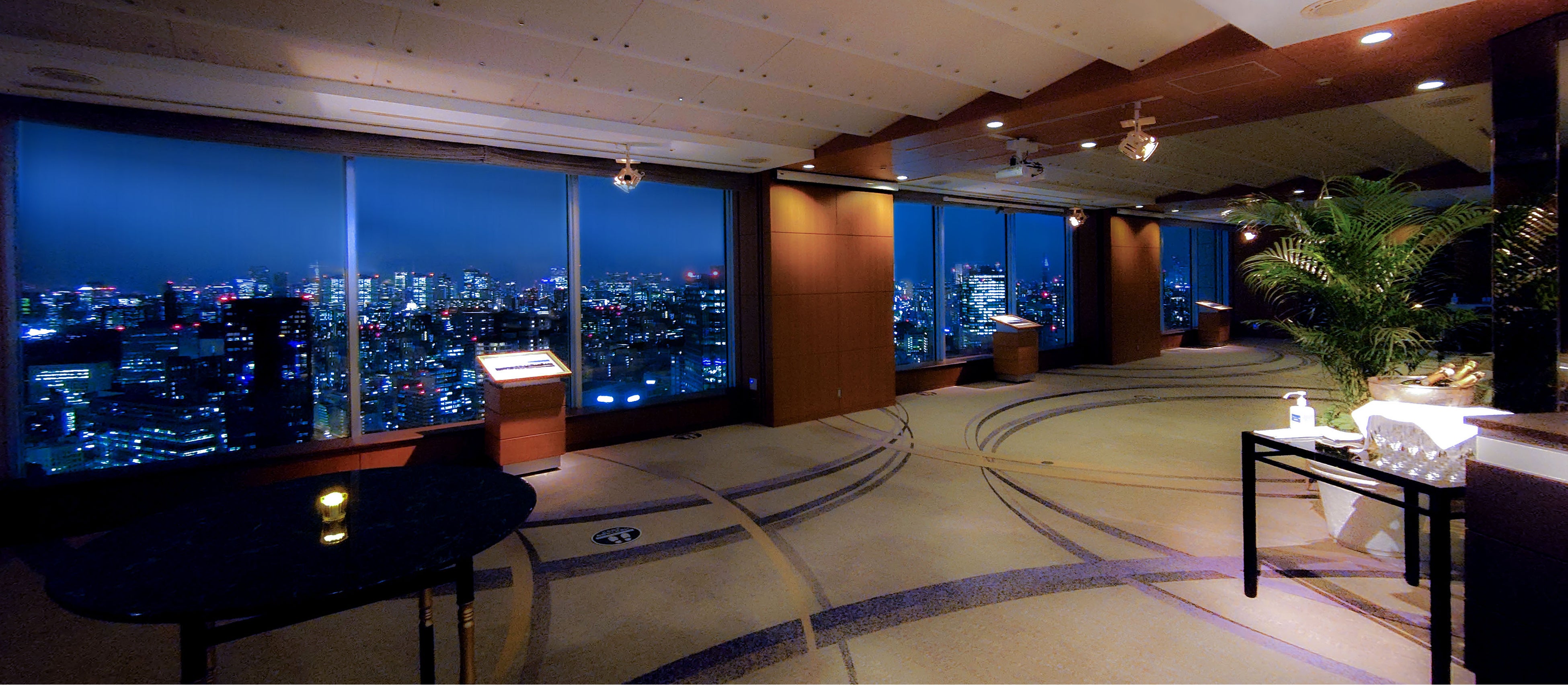 都心を見渡す特別展望ルーム