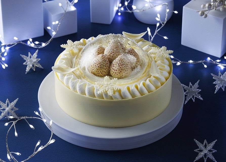 man ドームツアー   フラルネリップバーS  クリスマスケーキパンフ snowman ドームツアー フラルネリップバーS クリスマスケーキパンフ