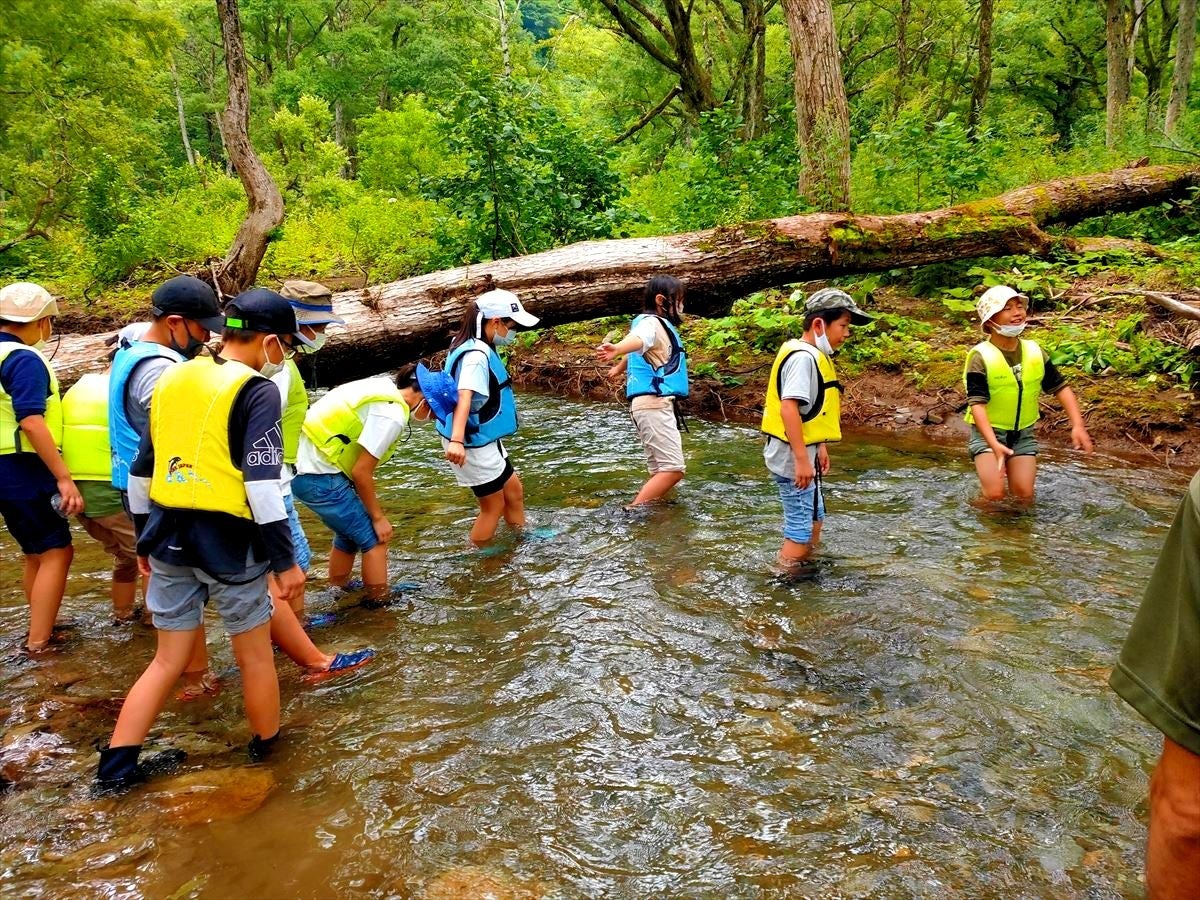 透明度の高い川は、雪解け水が流れていて夏でもとても冷たい！