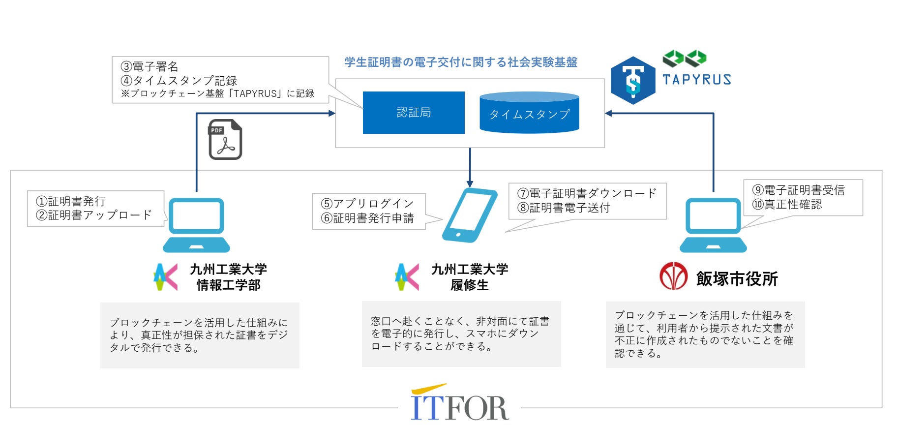実験概要図