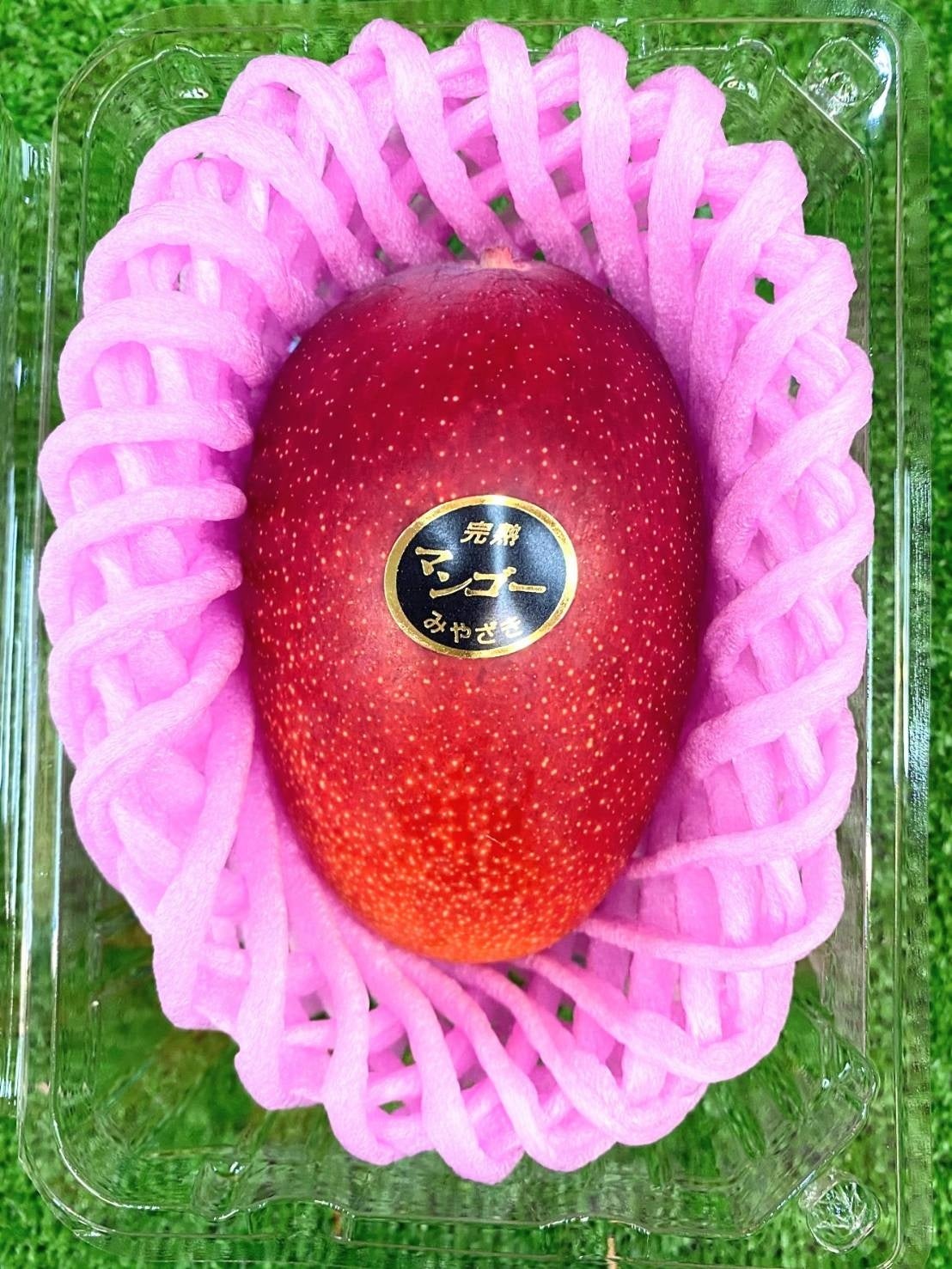 道の駅「なんごう」でも販売されている、濃厚な完熟マンゴーのお土産付きです。