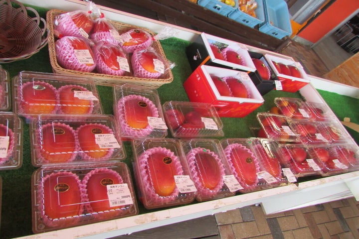 道の駅「なんごう」でも販売されている、濃厚な完熟マンゴーのお土産付きです。