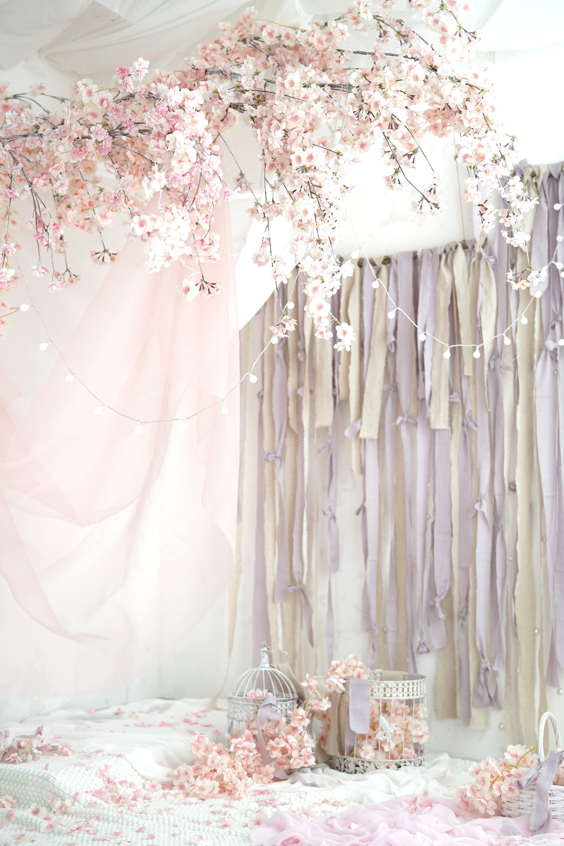 スタジオコフレ_限定スタジオ3