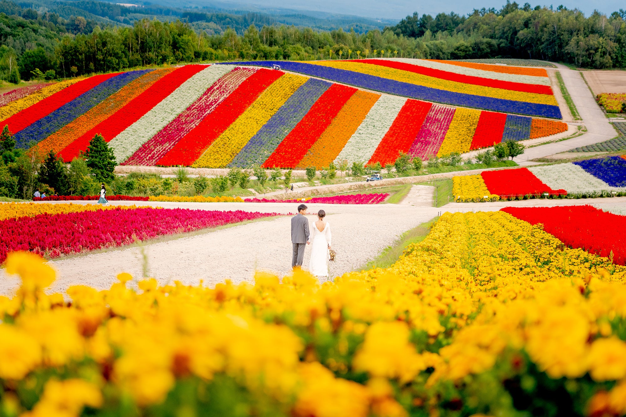 クレール北海道ロケーション_15