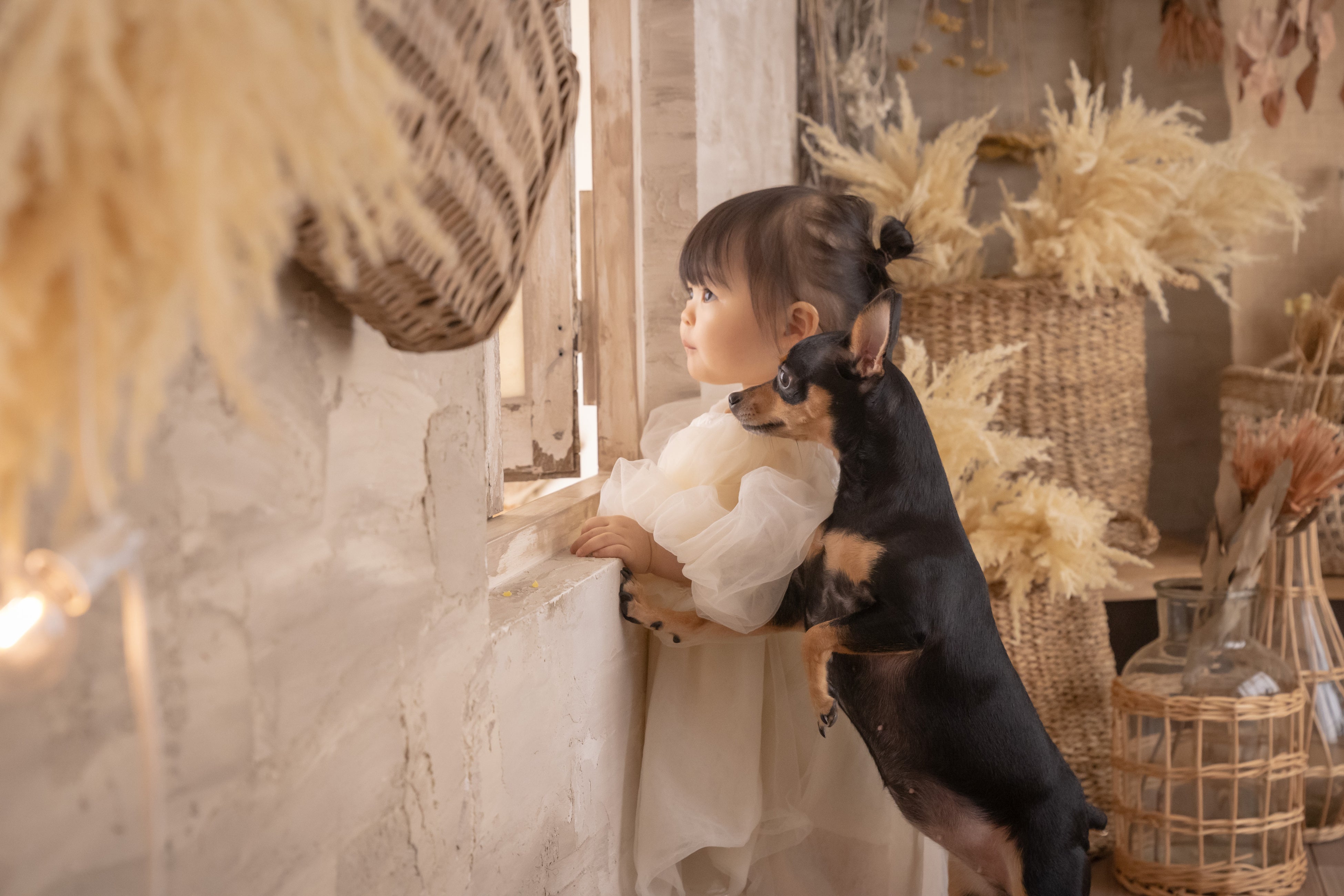 スタジオコフレ_withペット撮影イメージ