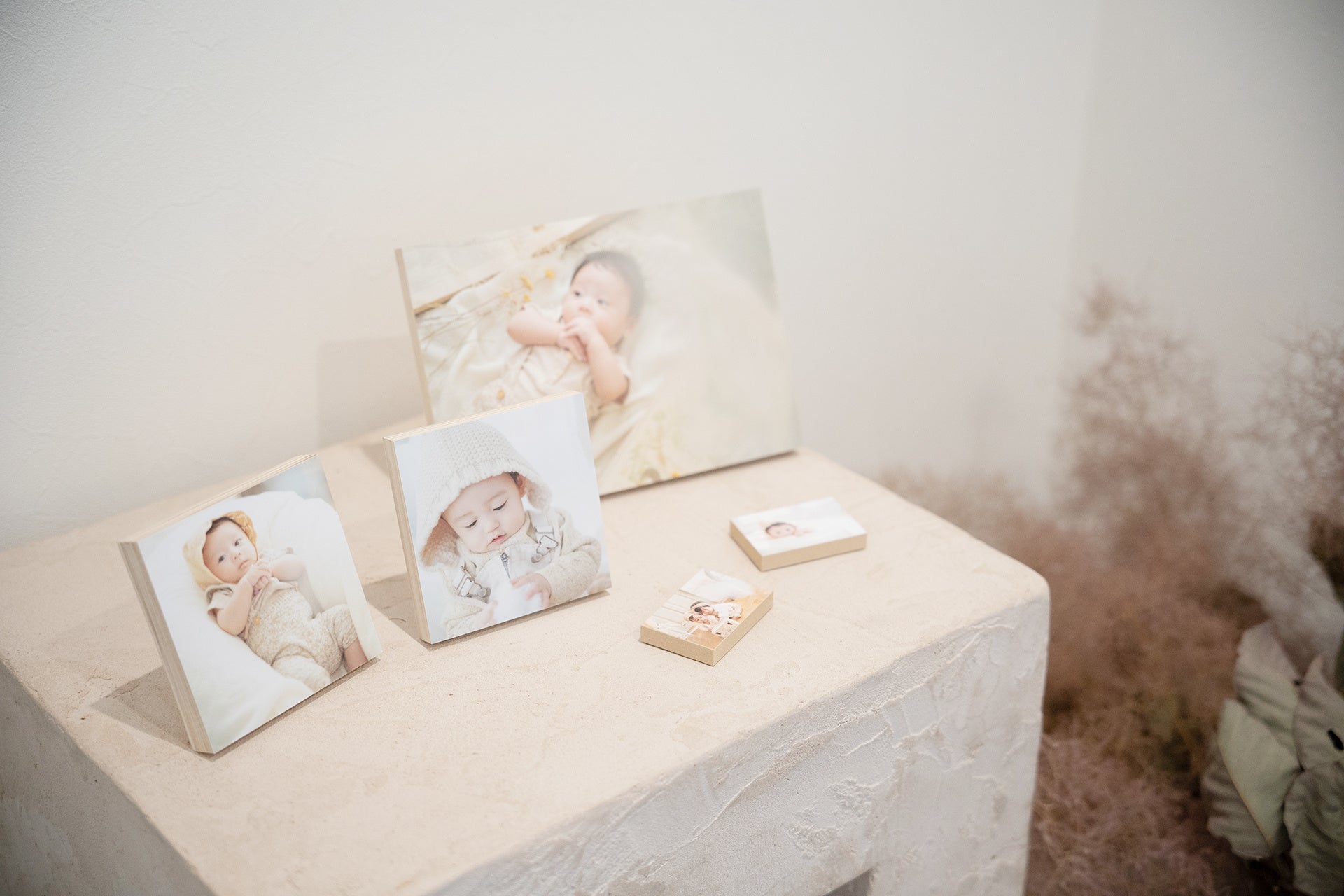 スタジオコフレ_アイテムイメージ