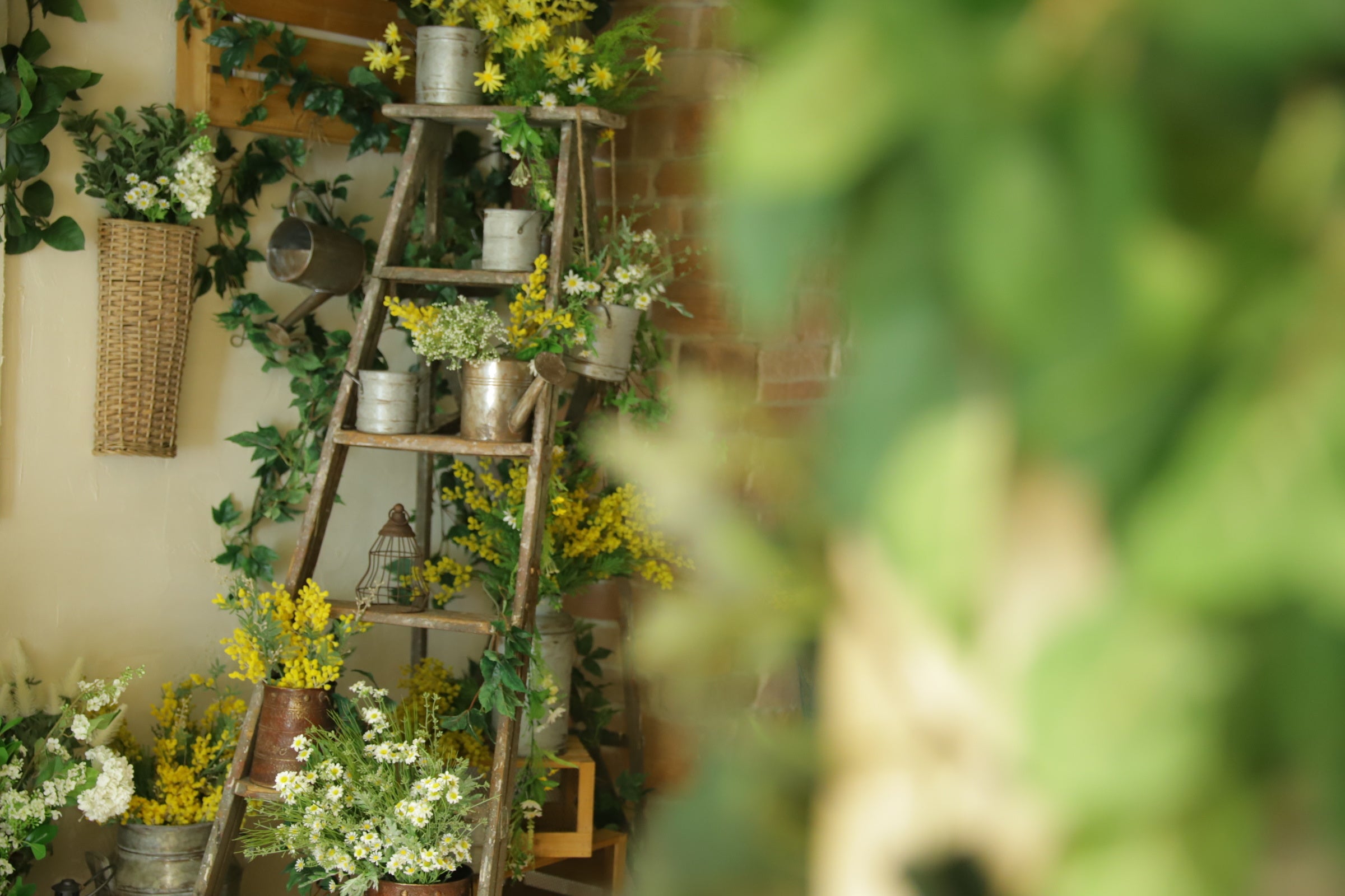 スタジオコフレ_レイクタウン1丁目スタジオ_5