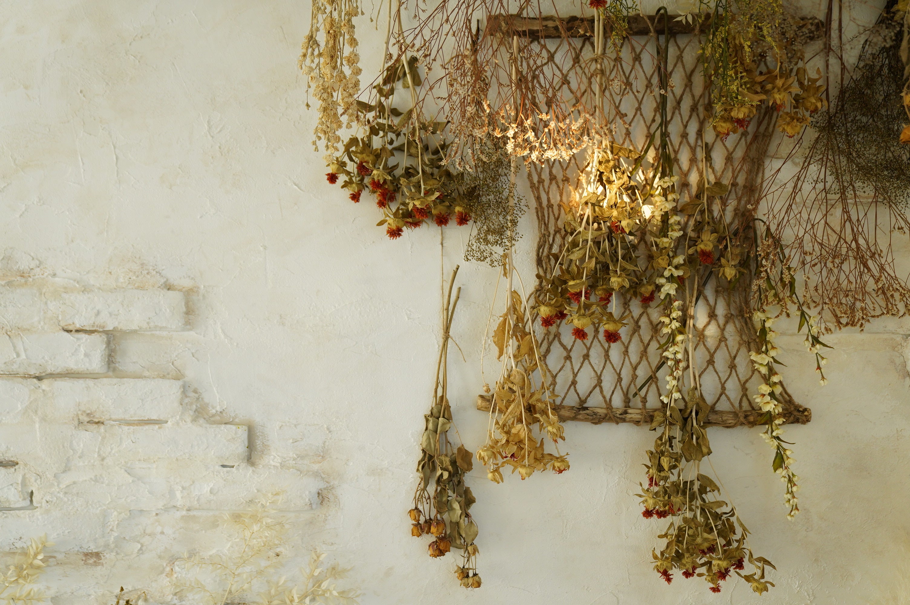 スタジオコフレ_水天宮スタジオ_5