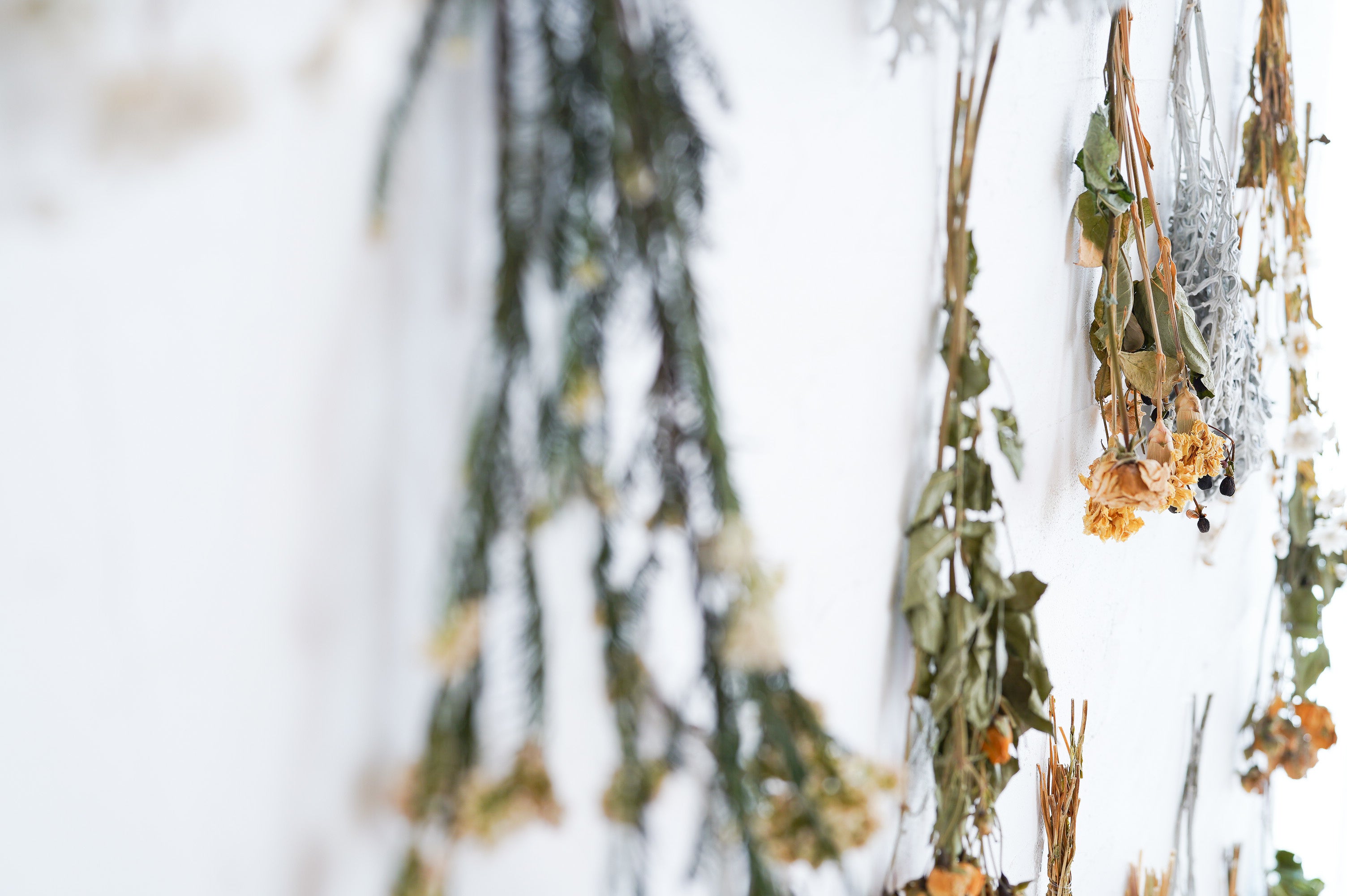 スタジコフレ戸越銀座スタジオ_7