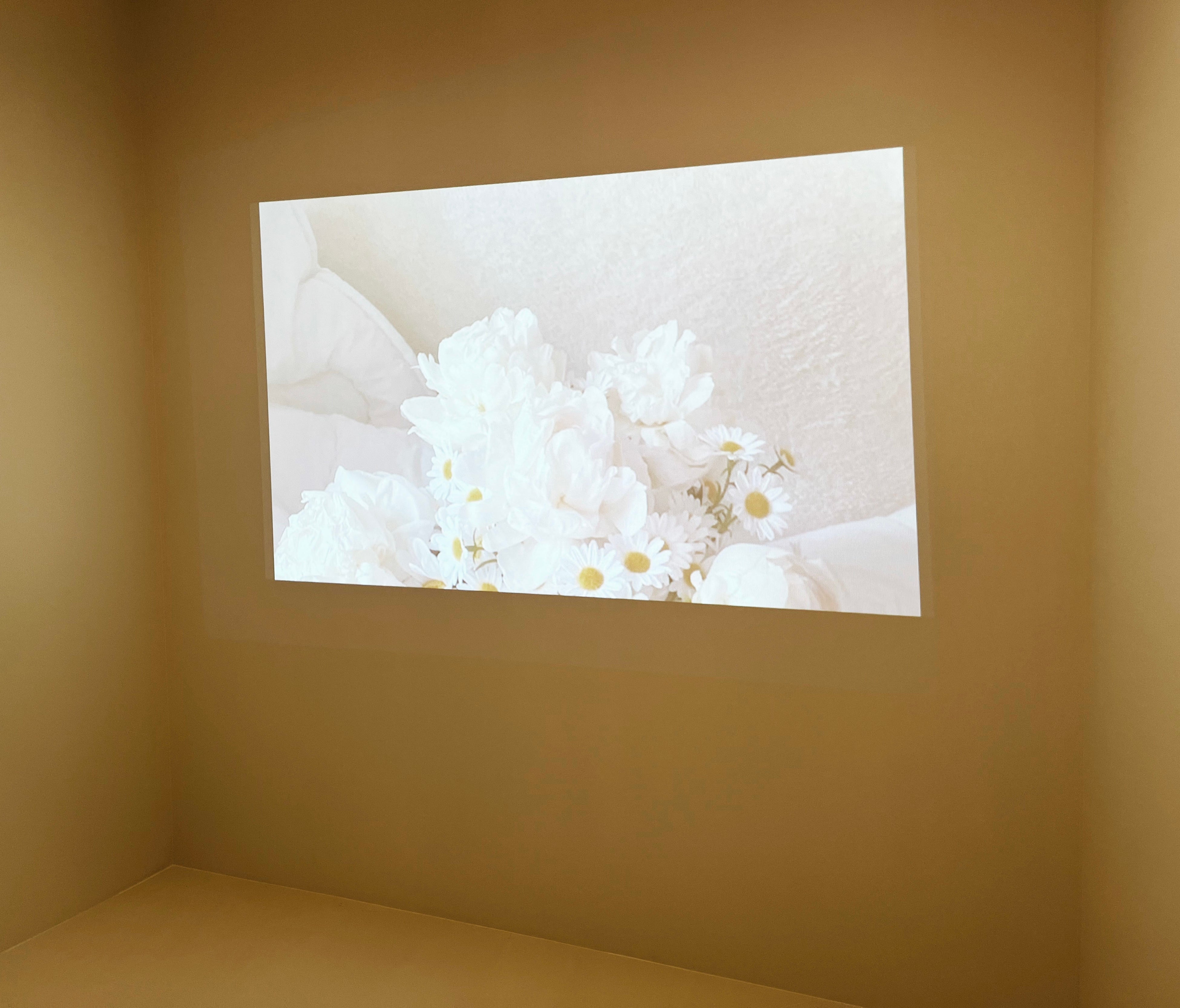 セルフ写真館Original_イクスピアリ店オープン_6