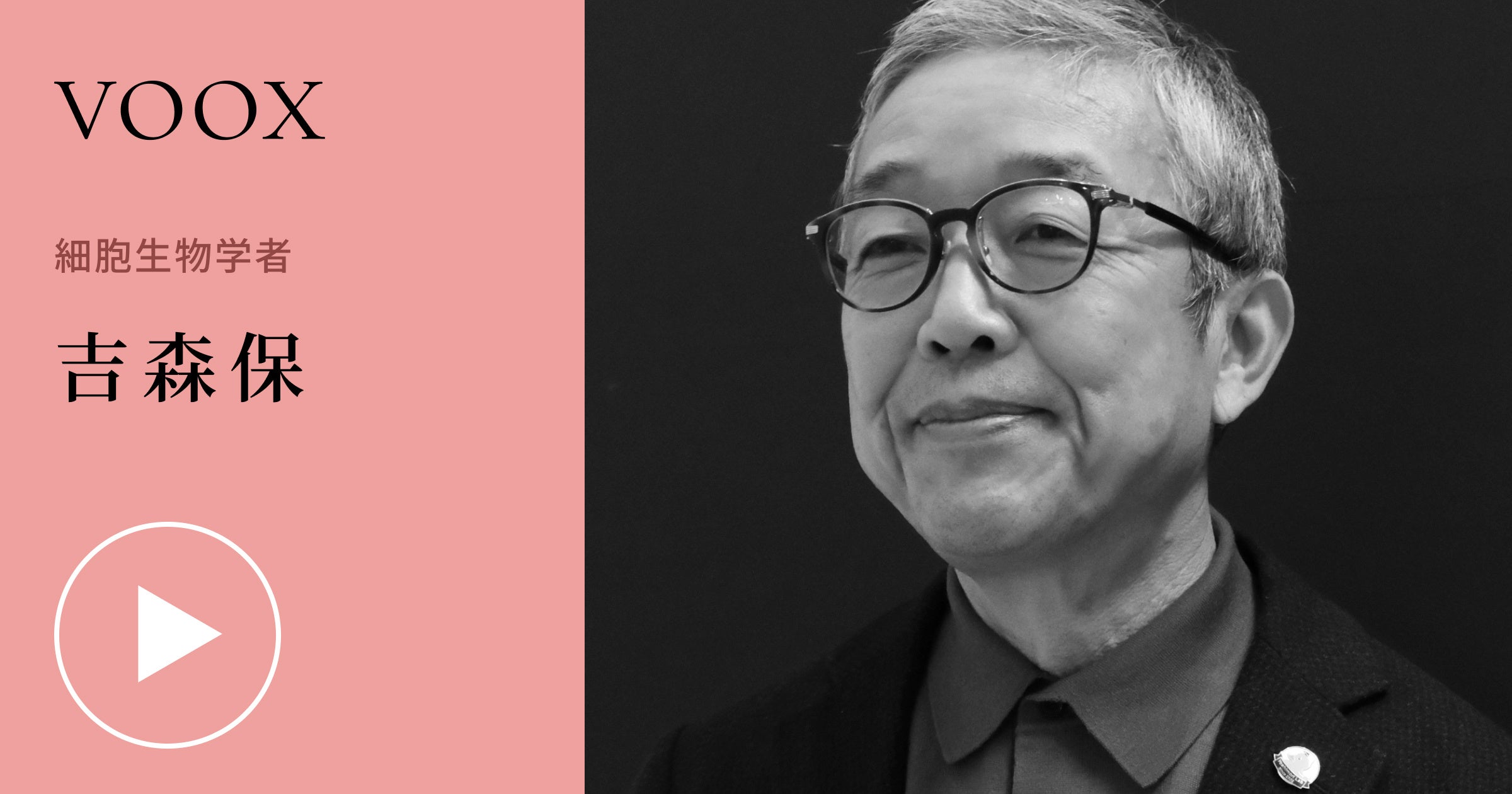 肺表面活性物質の現在/真興交易医書出版部/吉田清一（単行本） 入門表面分析: 固体表面を理解するための (材料学シリーズ