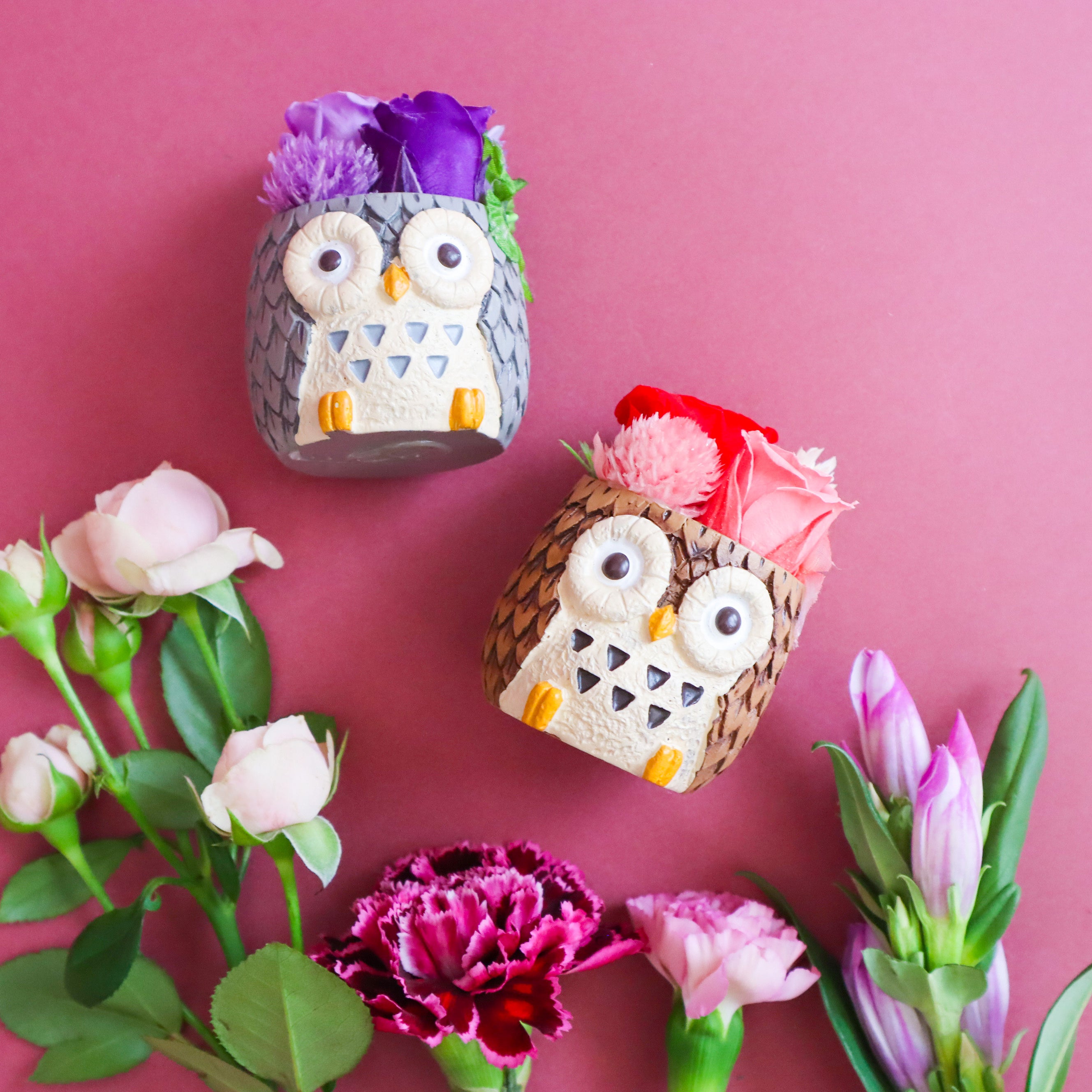 愛くるしさが人気です