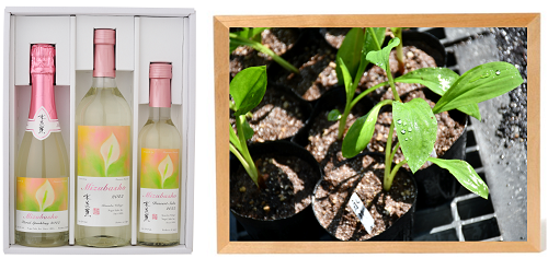 ＊画像はあくまでイメージです。実物と多少異なる場合がございます。