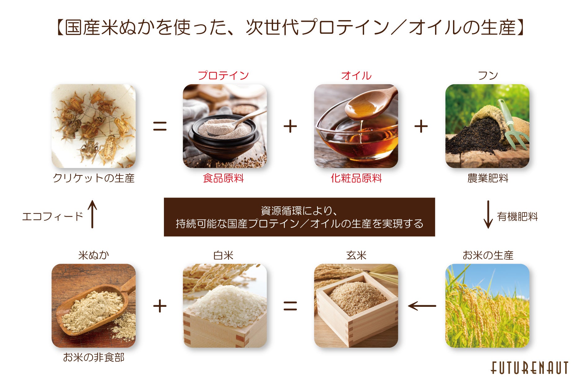 図2 国産米ぬかを使った、次世代プロテイン/オイルの生産