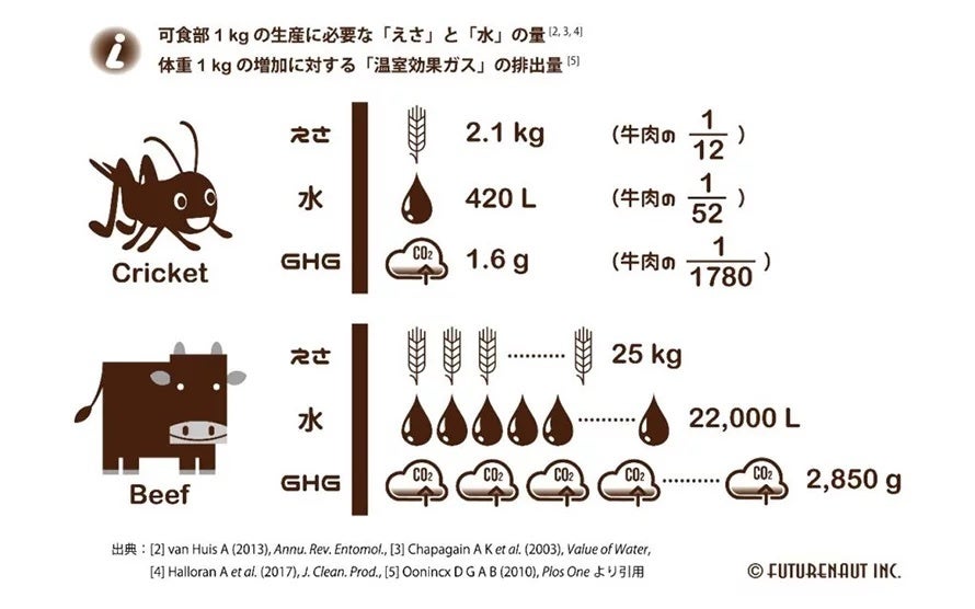 図1 クリケットと牛肉を生産するときの環境負荷の比較