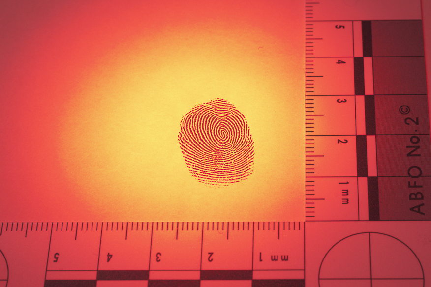 次世代指紋鑑定　法科学鑑定研究所