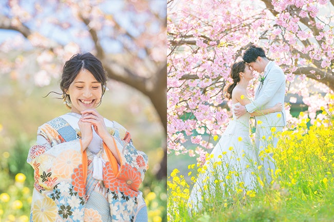 河津桜+周辺スポットで和装も洋装も残せる人気のセットプラン