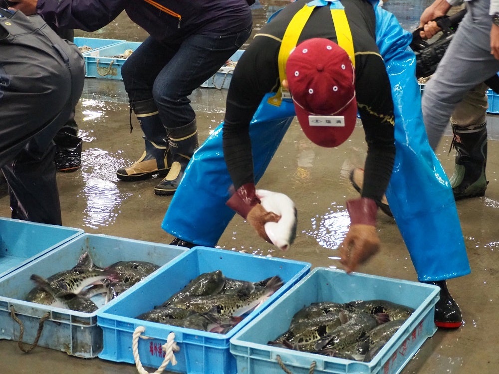 ふく初競りの様子
