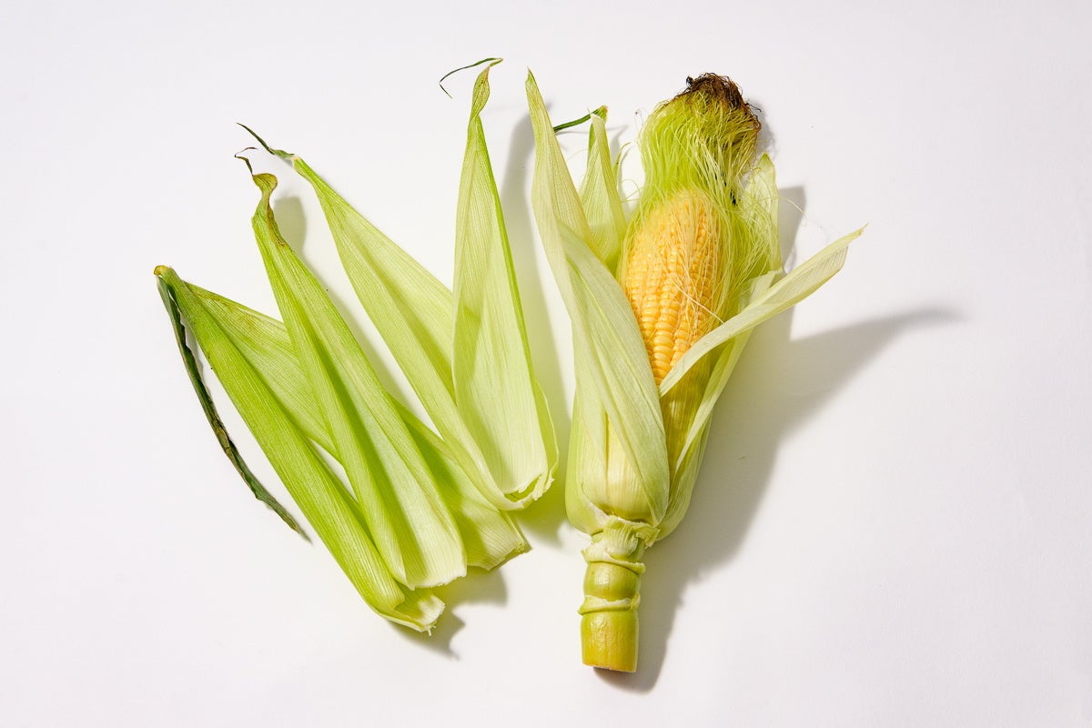学研キッズネット】味の素とのコラボ企画「野菜と料理で自由研究