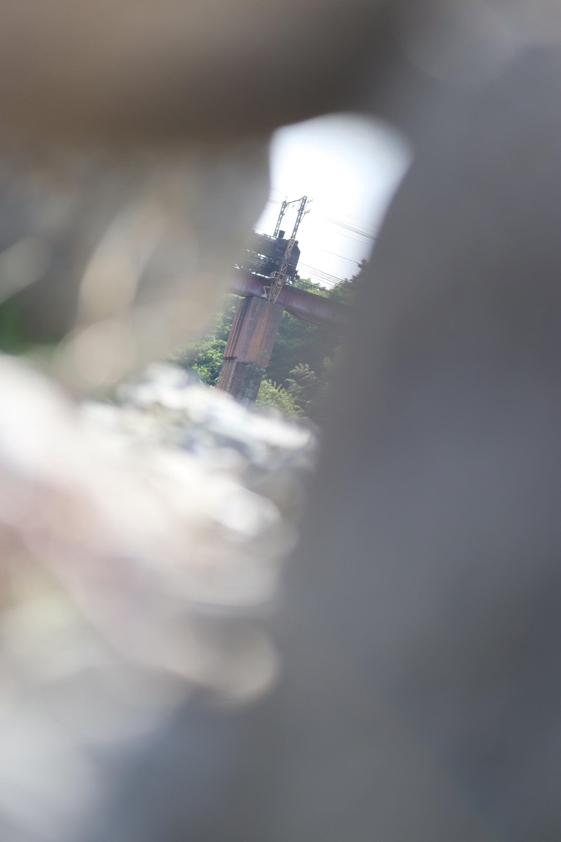 撮影：町田智望さん