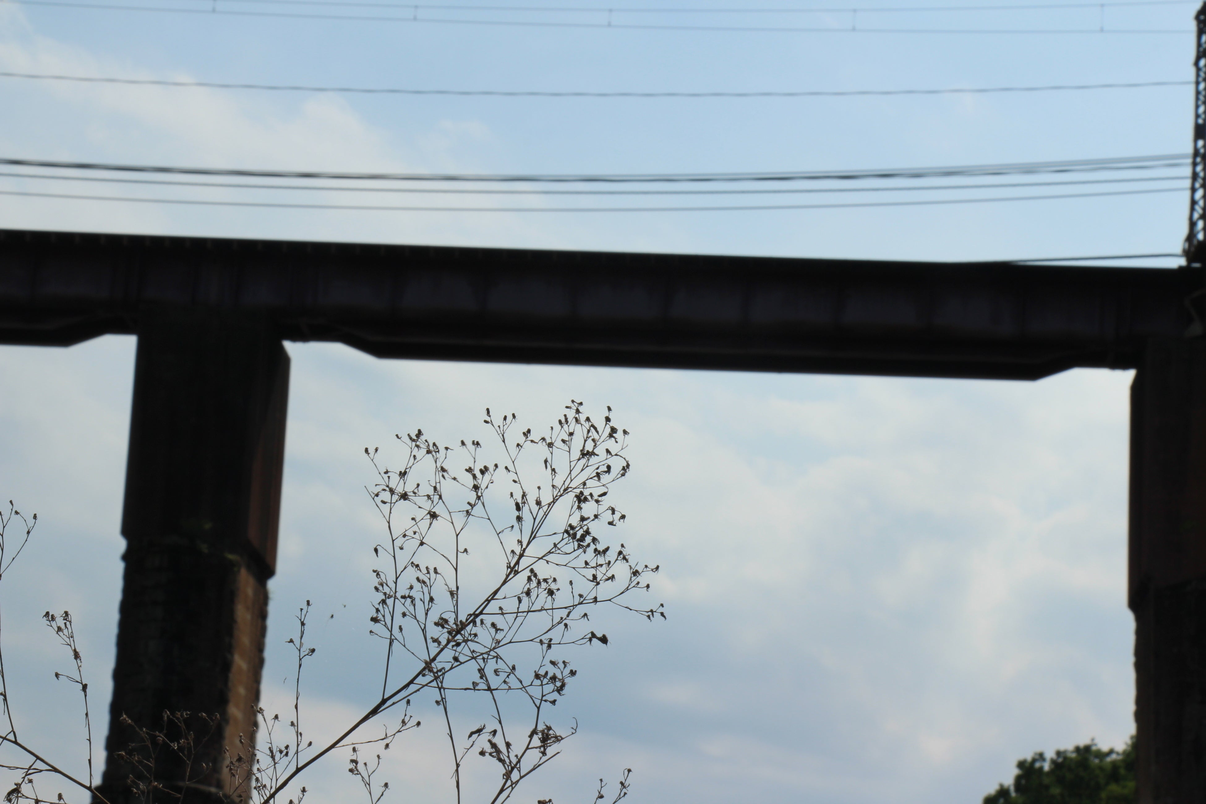 撮影：高橋燦太さん