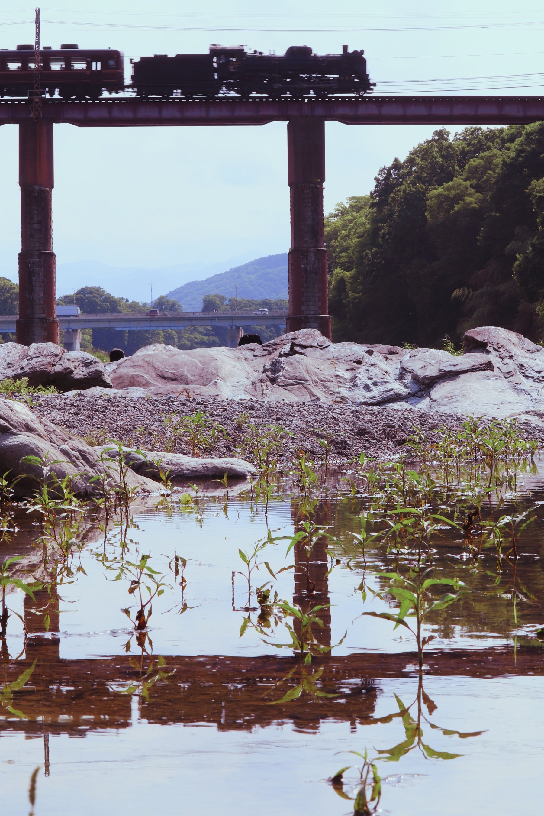 撮影：田代音偉さん