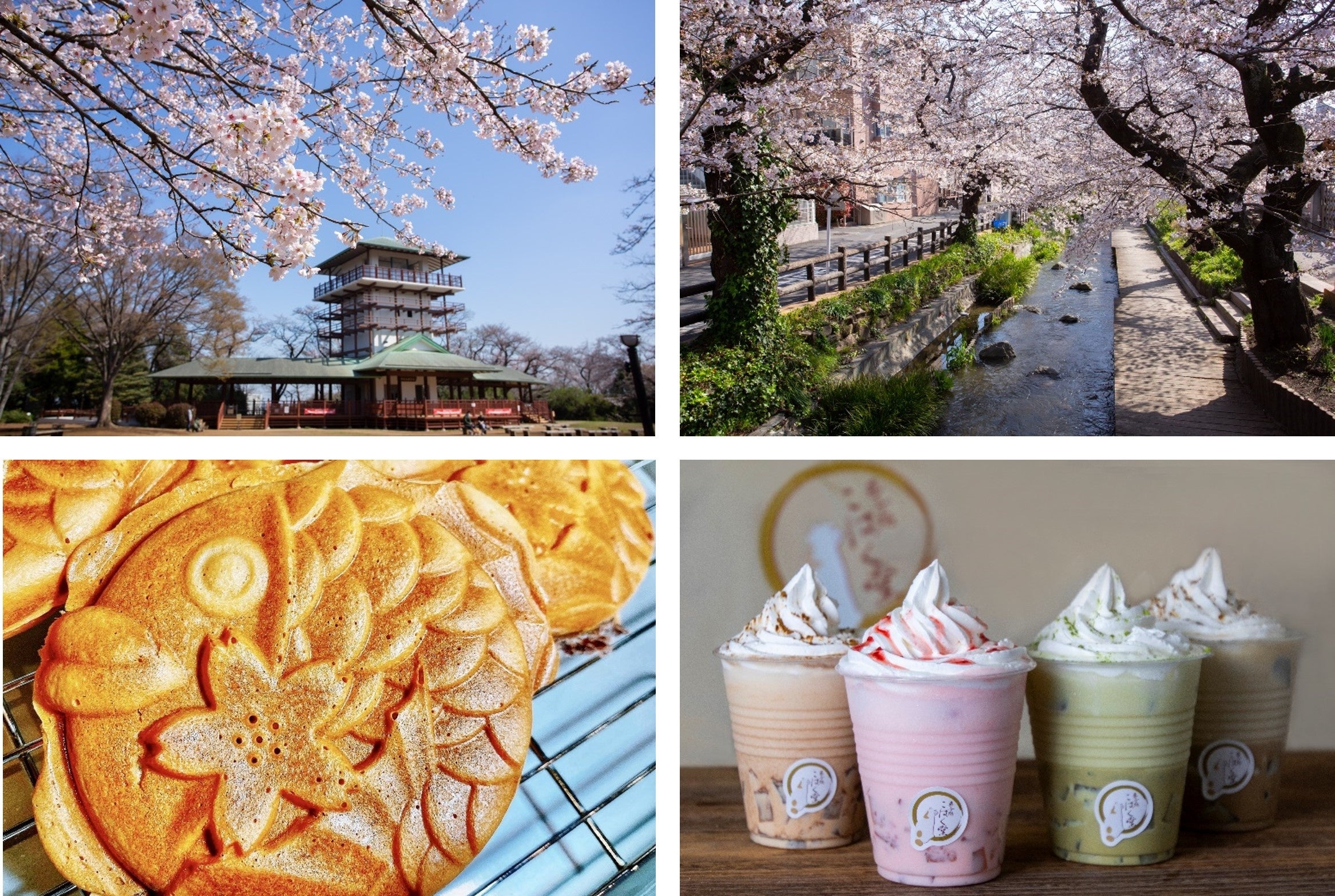 今年もお花見シーズン到来！混雑を避けた都内近郊の隠れ花見スポット