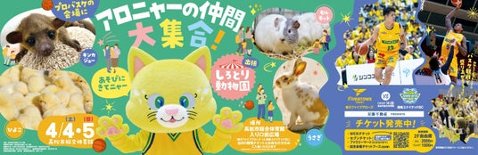 【香川ファイブアローズ】4/4-5ホームゲーム 安藤不動産presents「しろとり動物園」出張動物園がやってくる! 【香川ファイブアローズ】4/4-5ホームゲーム 安藤不動産presents「しろとり動物園」出張動物園がやってくる!