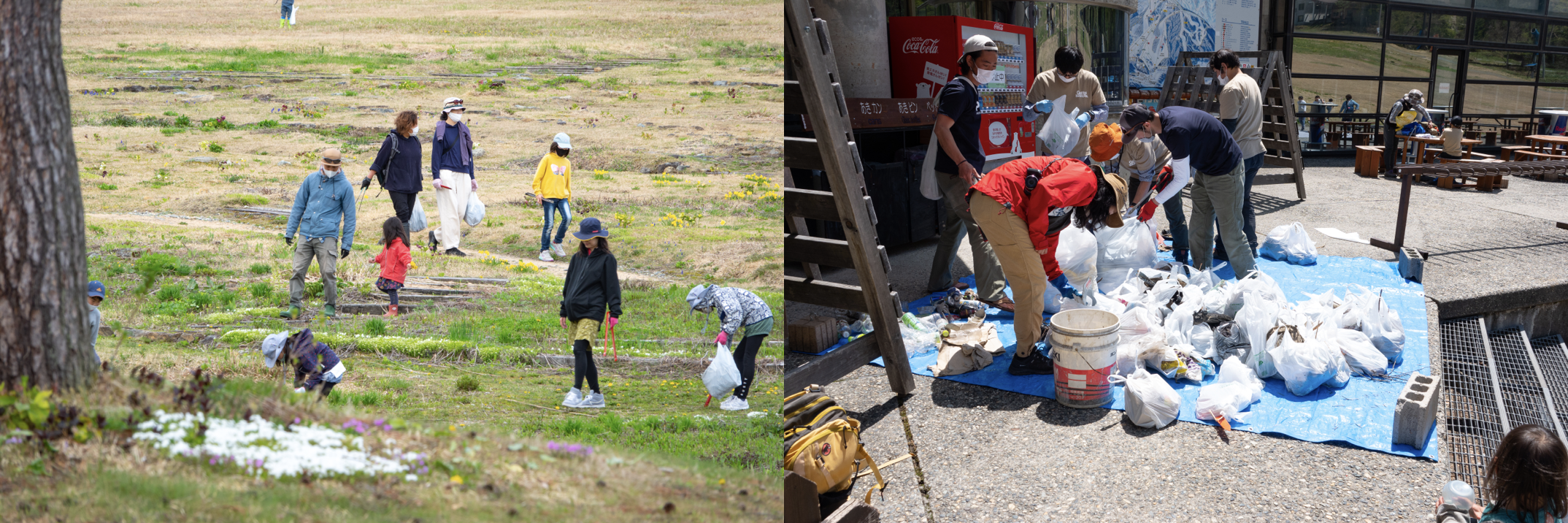 花が咲き始めたゲレンデでゴミを拾って、分別します