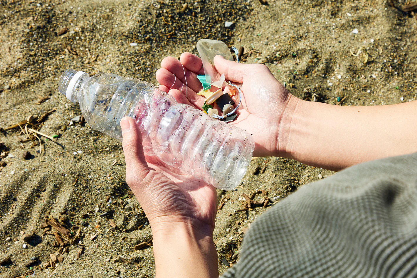 PLAGLAは海岸清掃を支援も