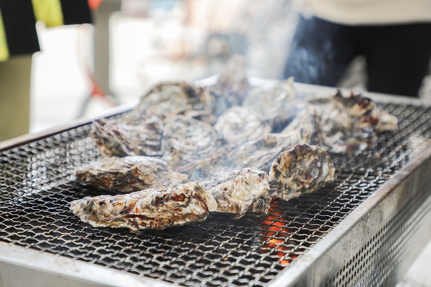 江田島と言えば牡蠣！特産品を味わうメニューも