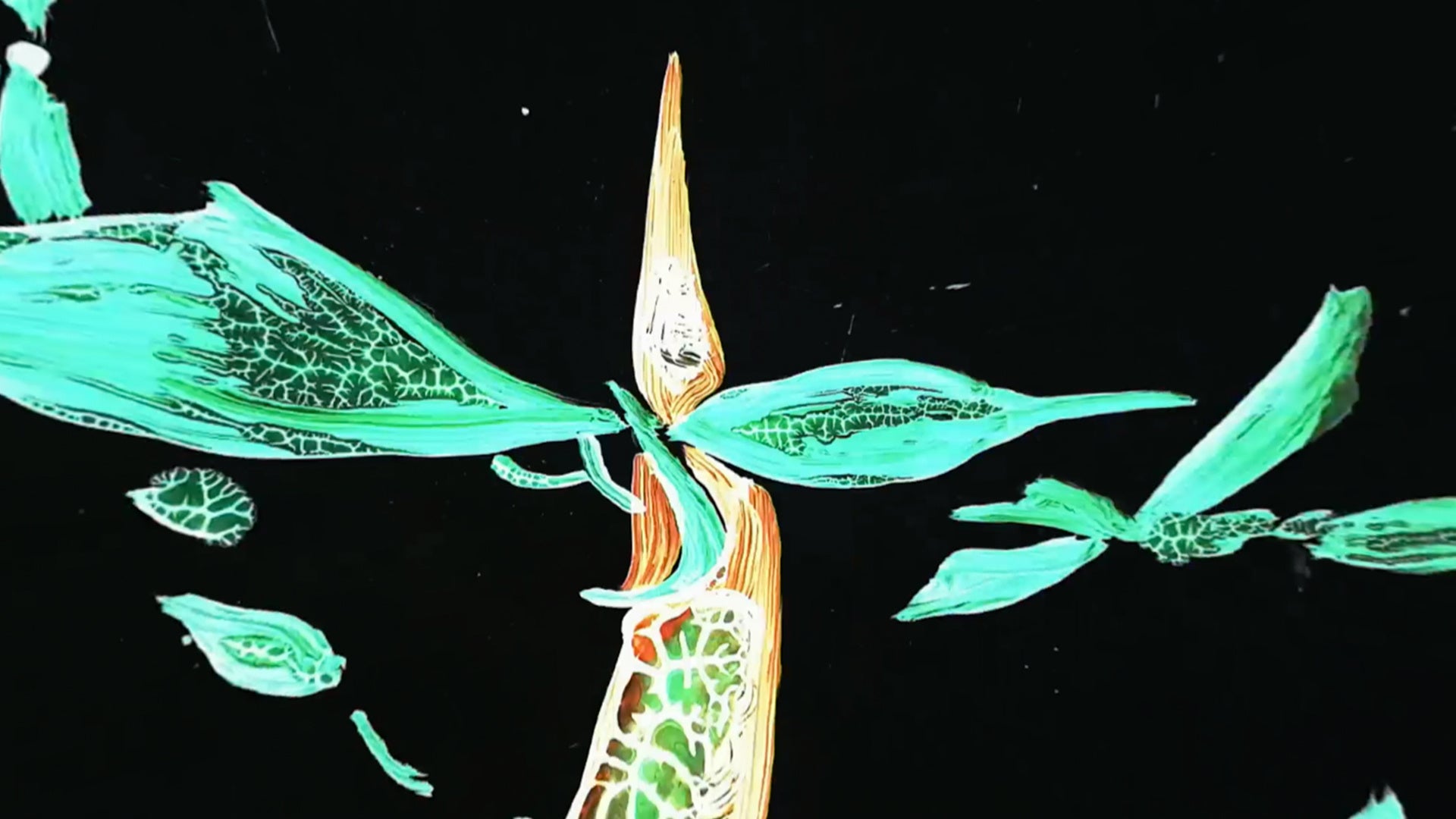 ©︎ 2021 WANG Junjie