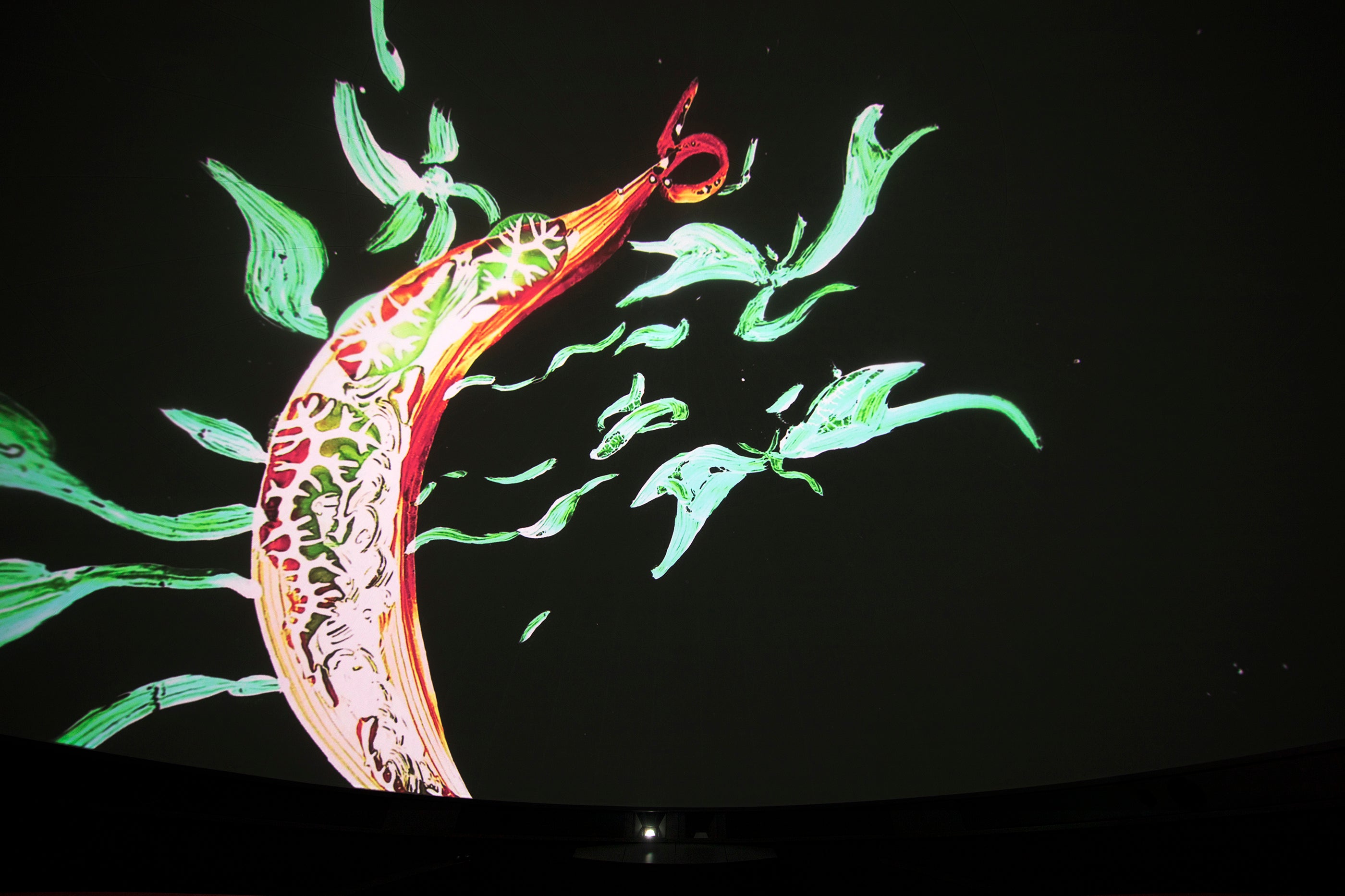 フェスティバル・プラットフォーム賞  ドームシアター・カテゴリー 『親愛なるウイルスたちへ』｜Photo：Satoshi Nagare