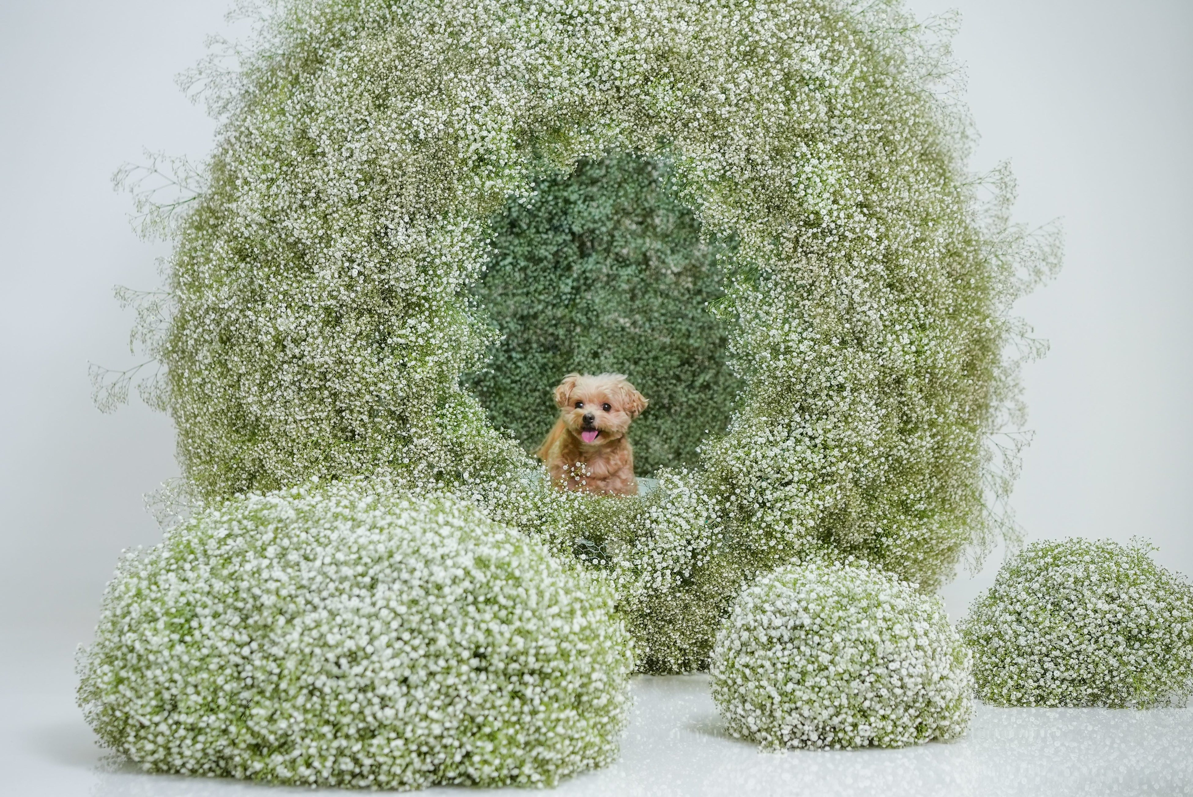 フォトブースで使用されるD.E.オリジナルオブジェ