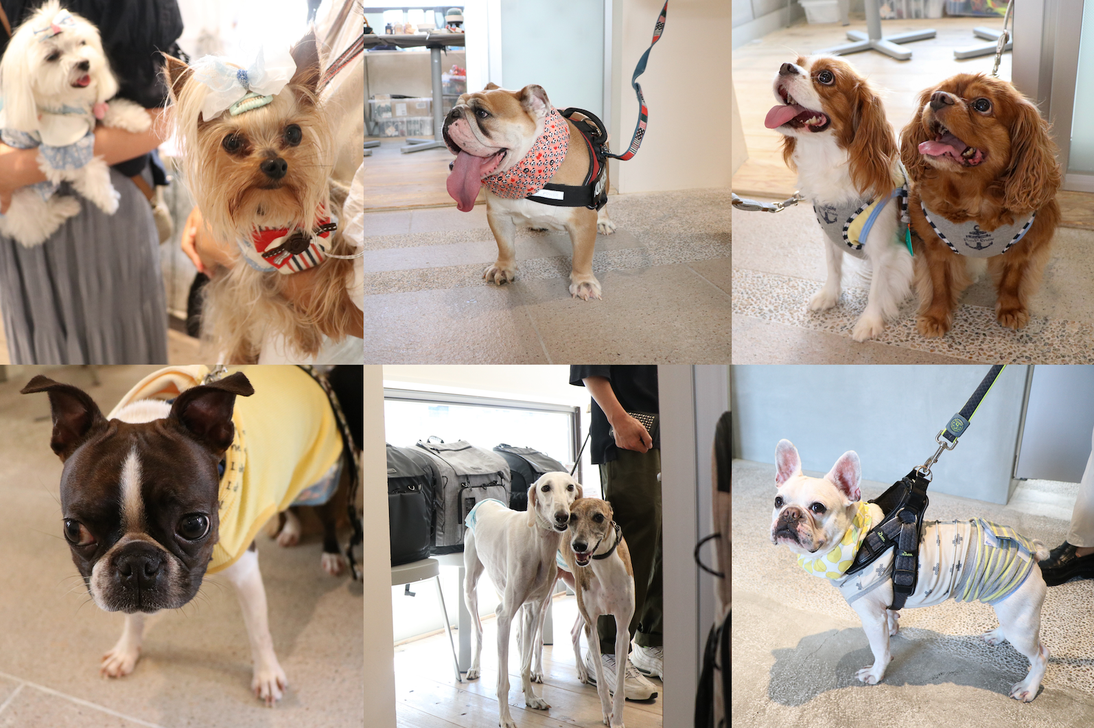 ※写真はイメージです