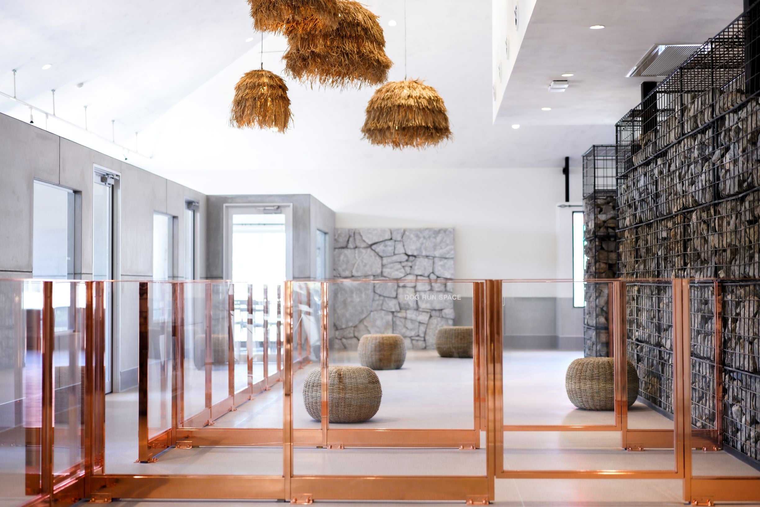 室内ドッグラン