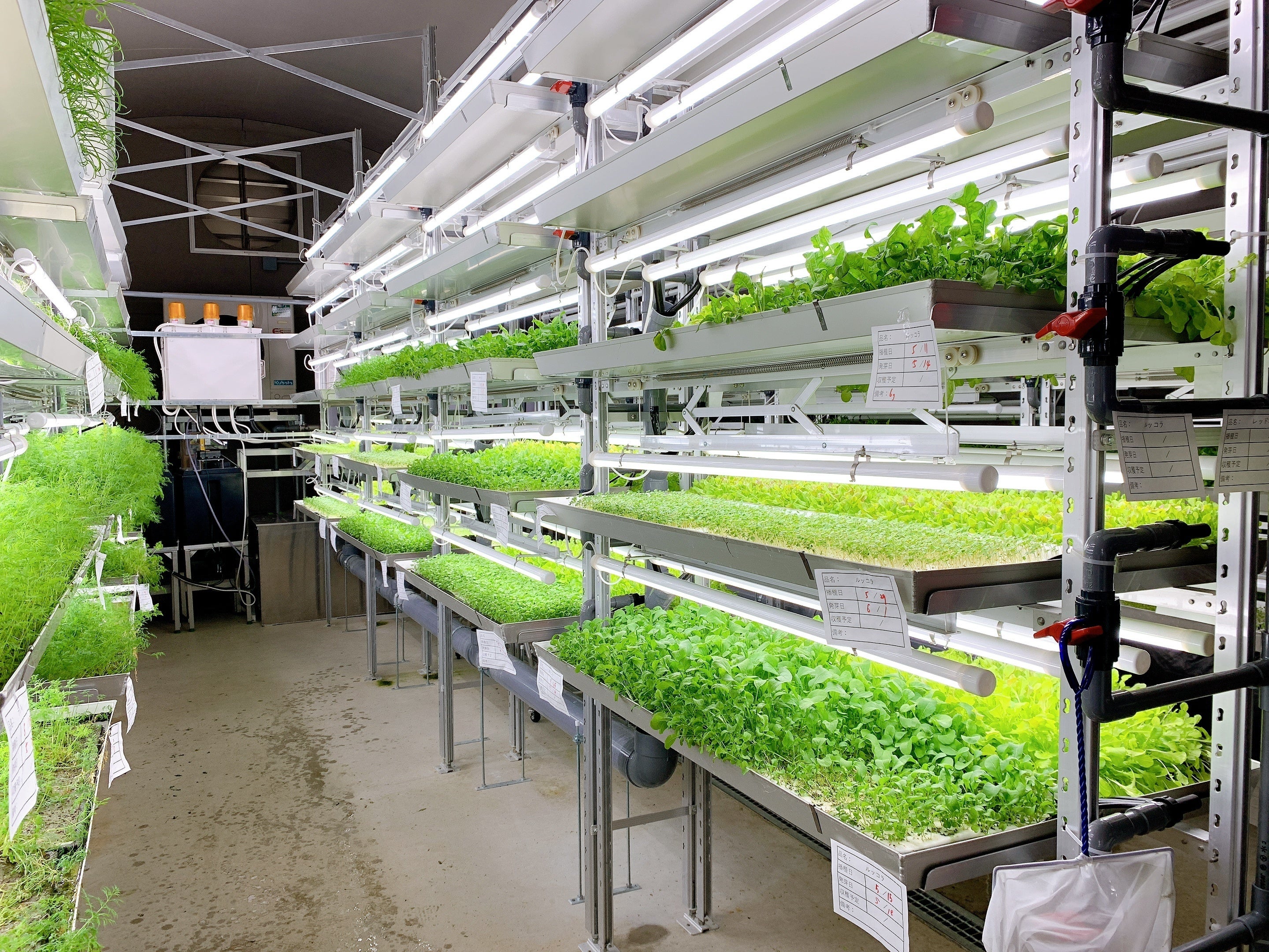 オーティエム・カルチベージョンラボラトリー