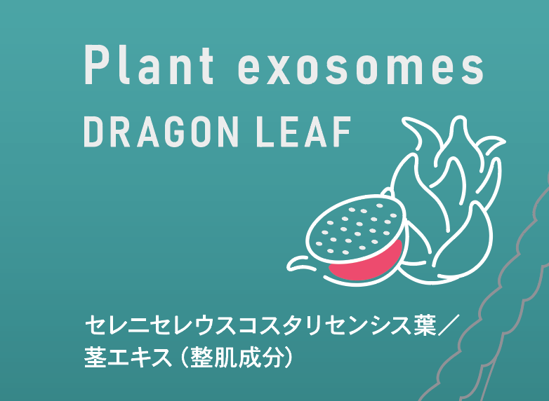 ドラゴンフルーツ葉茎由来抽出液を主原料とした化粧品「EXOTURAN