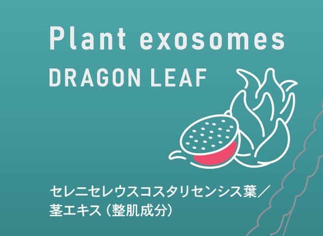 ドラゴンフルーツ葉茎由来抽出液を主原料とした化粧品「EXOTURAN ドラゴンフルーツ葉茎由来抽出液を主原料とした化粧品「EXOTURAN