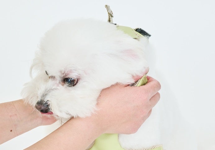 ポイント⑤ 頭を通して留めるだけの簡単装着