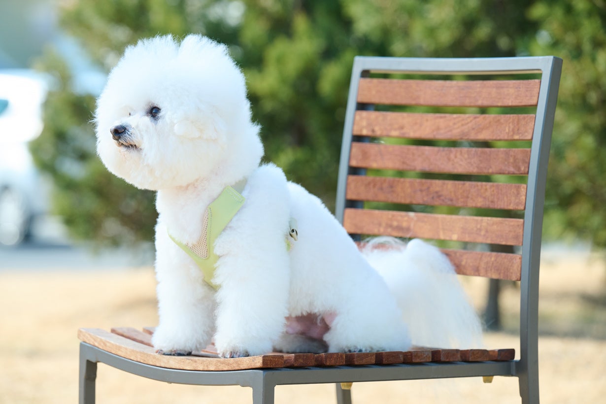 ポイント① 気管を圧迫しないやさしさ設計